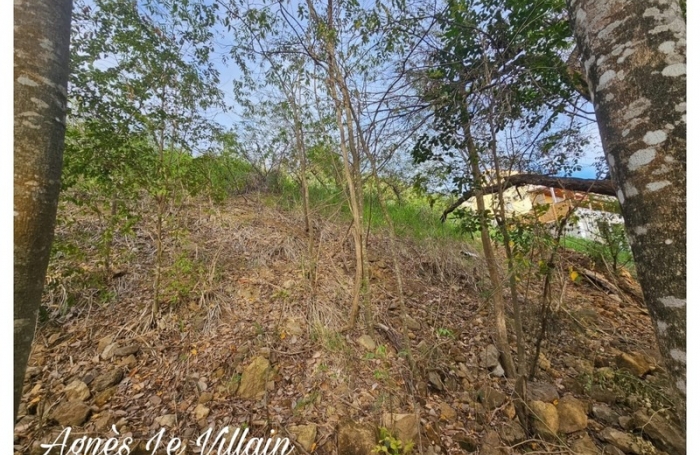 Vente Terrain 1059m&sup2; Bouillante