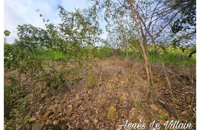 Vente Terrain 1059m&sup2; Bouillante