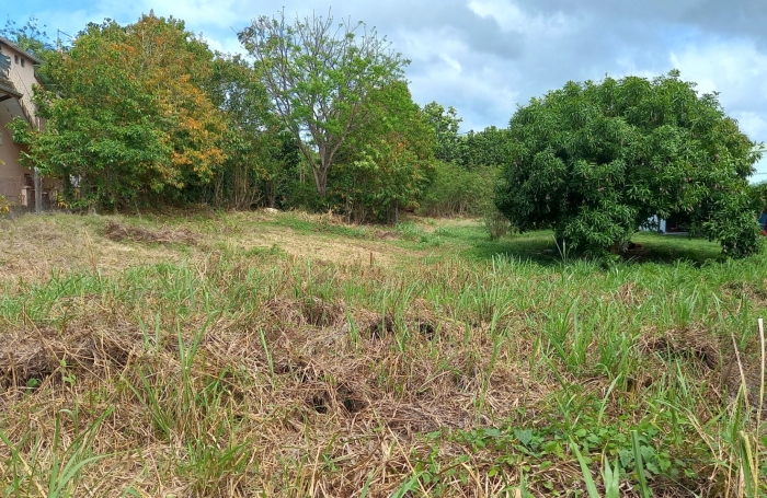 Vente Terrain 1013m² Sainte Anne