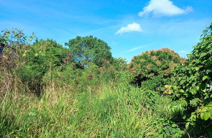 Vente Terrain 1013m² Sainte Anne