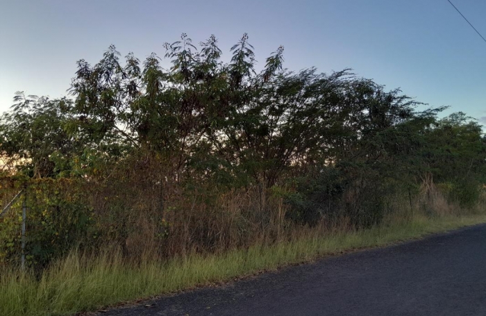 Vente Terrain 840m&sup2; Vieux Habitants