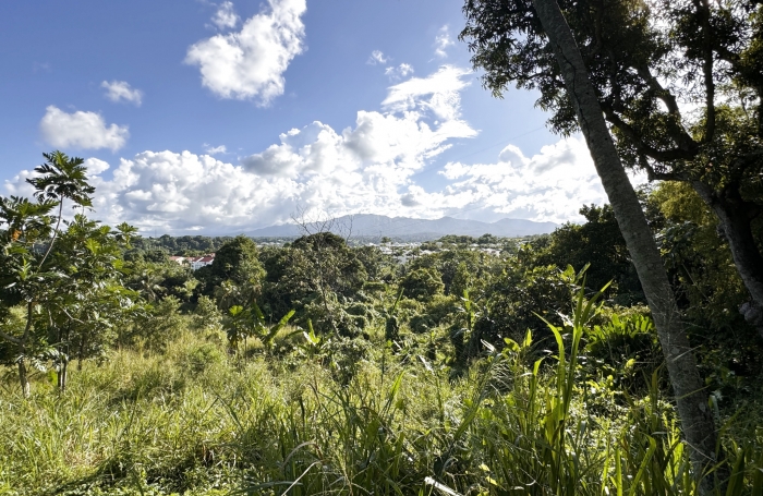 Terrain constructible de 1 452m2 à vendre 127 000€ à Petit-Bourg chez Longfort Immobilier