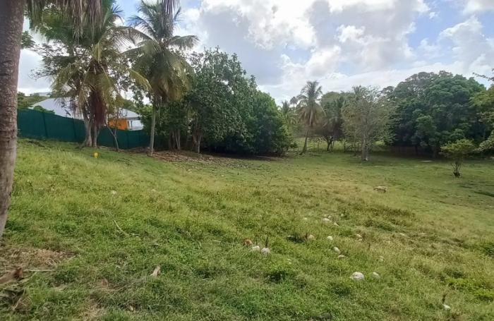 Vente Terrain 97190