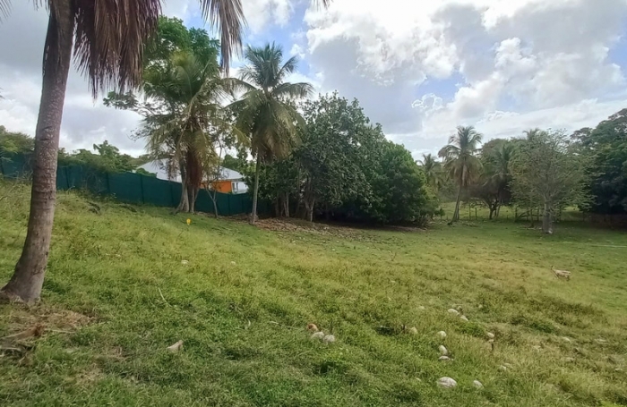 Vente Terrain 968m&sup2; Gosier