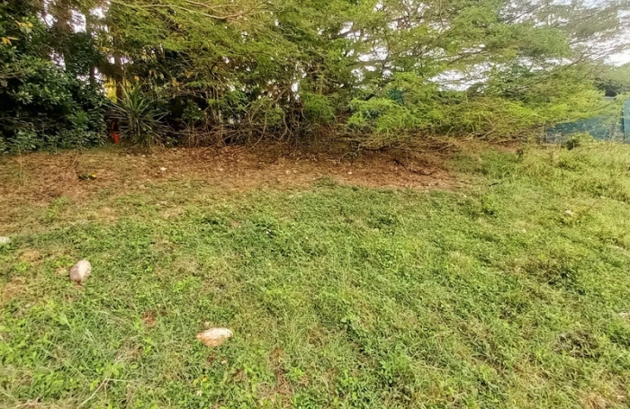 Vente Terrain 968m&sup2; Gosier