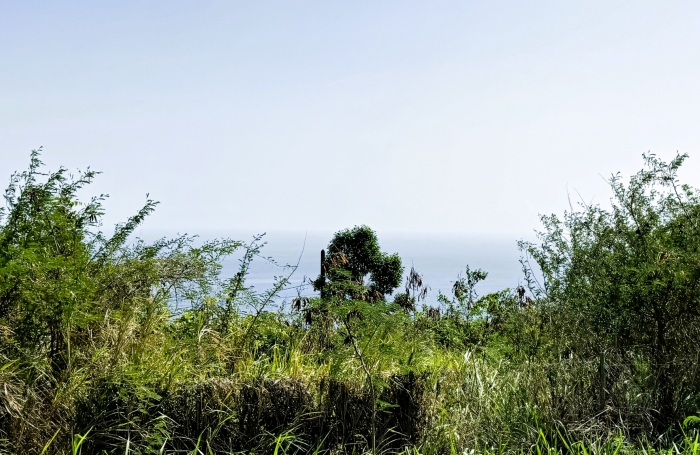 Spacieux Terrain à Vieux Habitants : Espace 4 956 m2, Calme et à Proximité de Basse Terre
