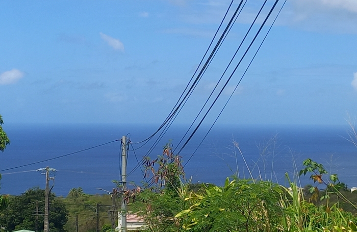 Spacieux Terrain à Vieux Habitants : Espace 4 956 m2, Calme et à Proximité de Basse Terre