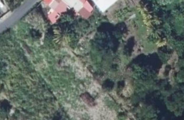 Spacieux Terrain à Vieux Habitants : Espace 4 956 m2, Calme et à Proximité de Basse Terre