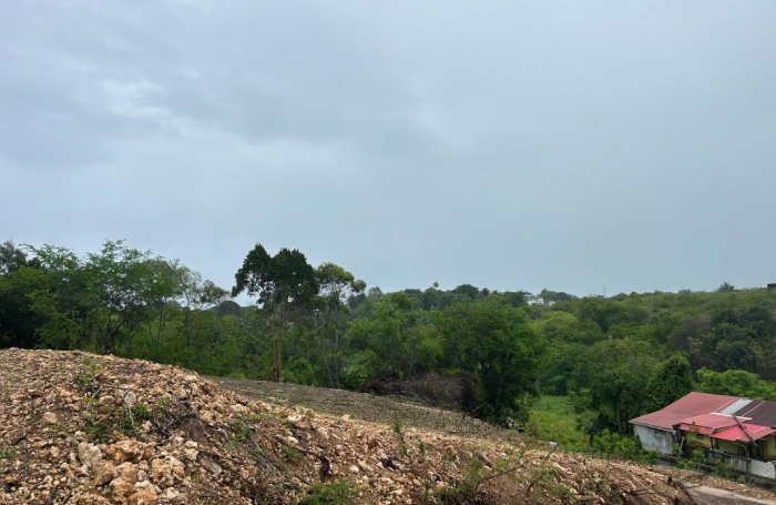 Vente Terrain 1010m&sup2; Le Moule