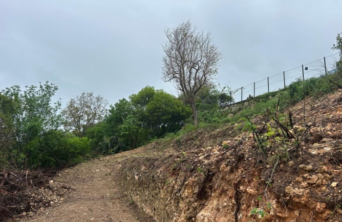 Vente Terrain 1010m&sup2; Le Moule