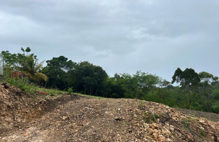 Vente Terrain 1010m&sup2; Le Moule