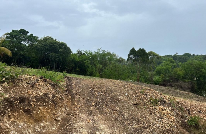 Vente Terrain 1020m&sup2; Le Moule