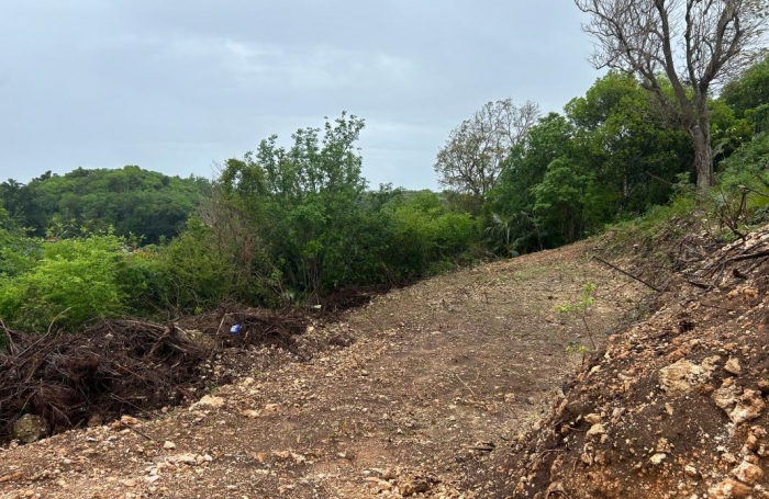 Vente Terrain 1020m&sup2; Le Moule