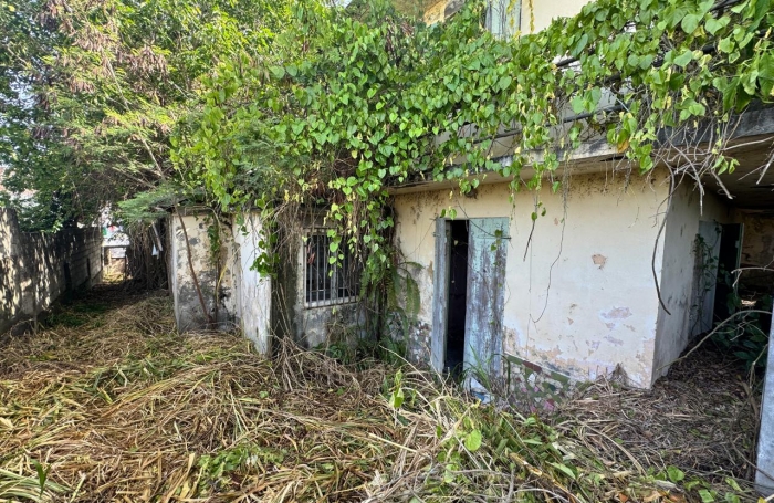 À vendre   Terrain constructible de 2999 m2 à Basse-Terre