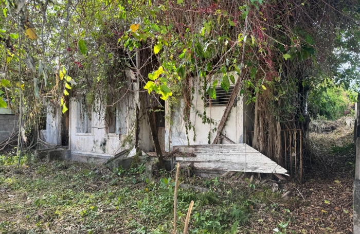 À vendre   Terrain constructible de 2999 m2 à Basse-Terre