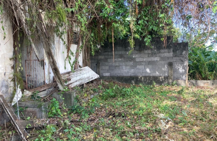 À vendre   Terrain constructible de 2999 m2 à Basse-Terre