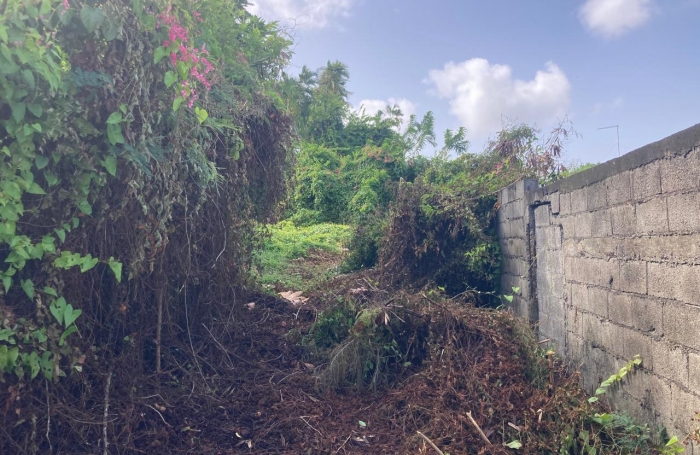 À vendre   Terrain constructible de 2999 m2 à Basse-Terre