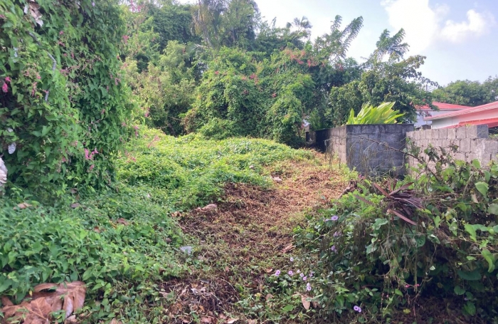 À vendre   Terrain constructible de 2999 m2 à Basse-Terre