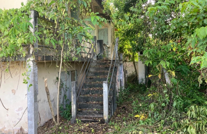 À vendre   Terrain constructible de 2999 m2 à Basse-Terre