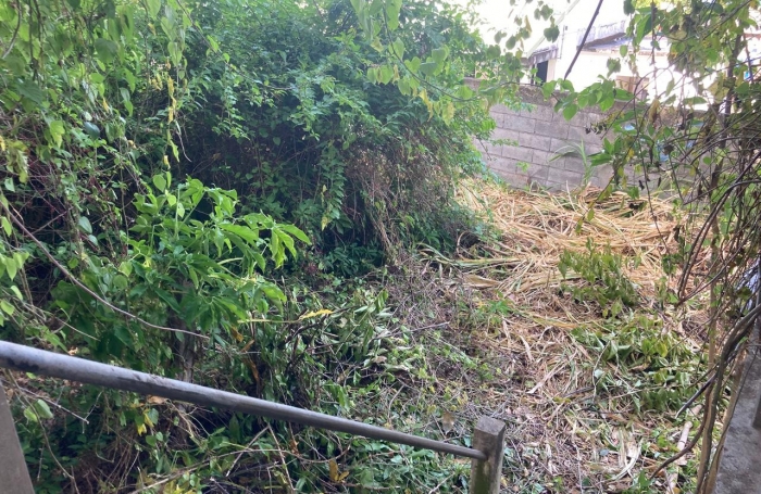 À vendre   Terrain constructible de 2999 m2 à Basse-Terre