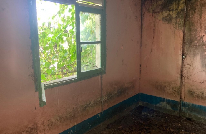 À vendre   Terrain constructible de 2999 m2 à Basse-Terre