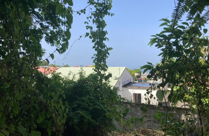 À vendre   Terrain constructible de 2999 m2 à Basse-Terre