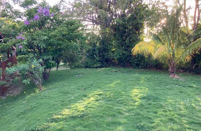 SAINT-CLAUDE -À louer   Local professionnel lumineux de 60 m2 en rez-de-jardin