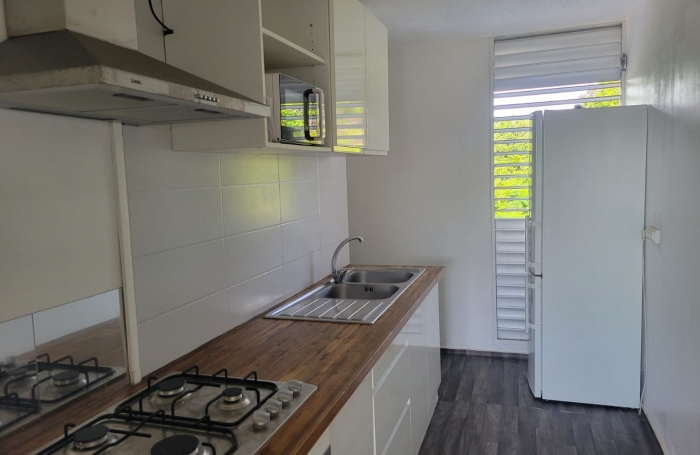 Capesterre-Belle-Eau, Appartement T3 rénové avec terrasse, vue dégagée