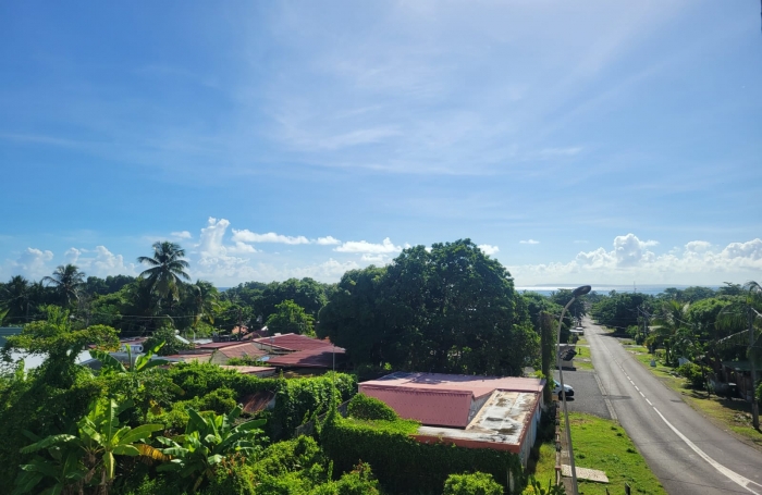 Capesterre-Belle-Eau, Appartement T3 rénové avec terrasse, vue dégagée