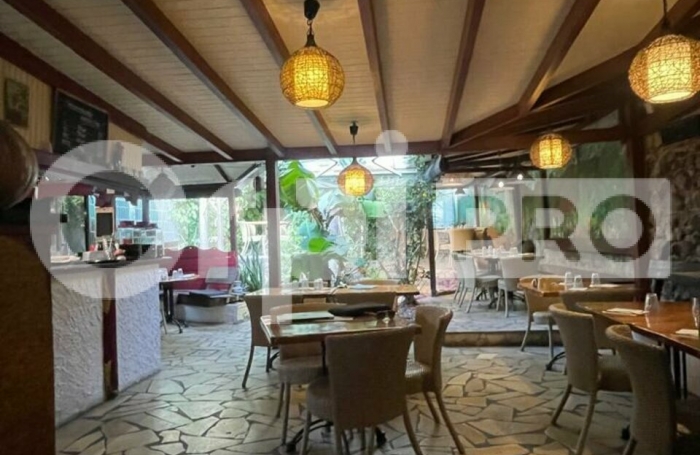 &#127869;&#65039; À VENDRE : Fonds de commerce – Restaurant – Terre-de-Haut, Les Saintes