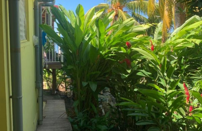 Vente Maison 73m&sup2; 4 pi&#232;ces Bouillante