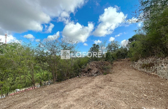 Vente Terrain 1010m² Le Moule