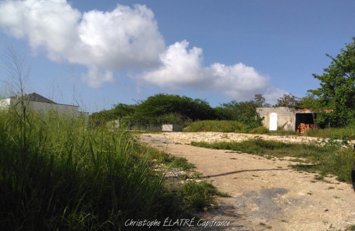 Vente Terrain 97118