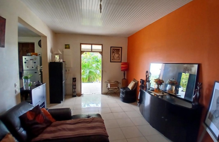 Vente Maison 370m&sup2; 11 pi&#232;ces Morne à l'eau