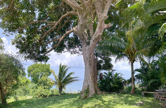 Vente Terrain 2066m² Trois Rivières