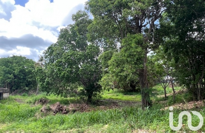 Vente Terrain 5950m&sup2; Petit-Canal