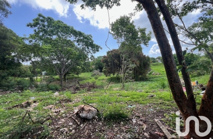 Vente Terrain 5950m&sup2; Petit-Canal