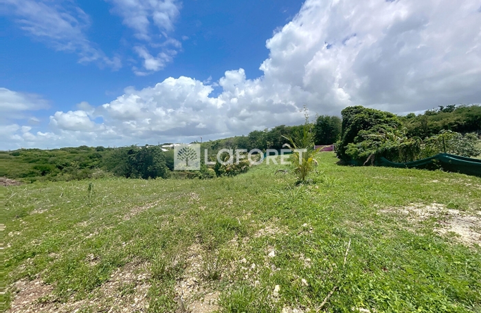 Vente Terrain 400m² Sainte Anne