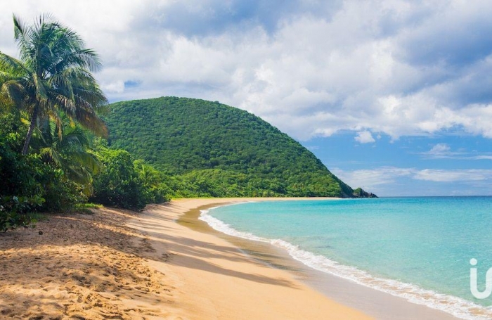 Vente Local commercial 11303m&sup2; Deshaies