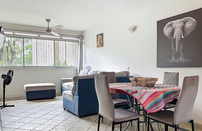 Location Appartement 61.91m² 3 pièces Les Abymes