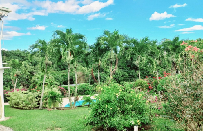 Vente Maison 291m&sup2; 7 pièces Les Abymes