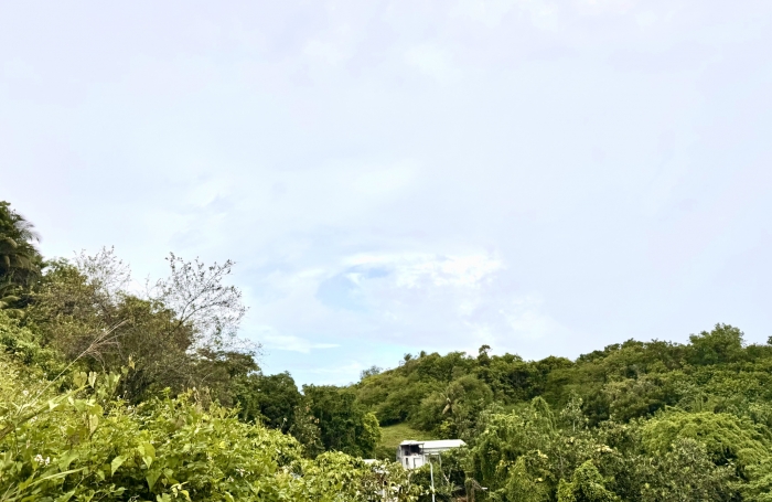 Terrain d'environ 1200 m2 - LES ABYMES