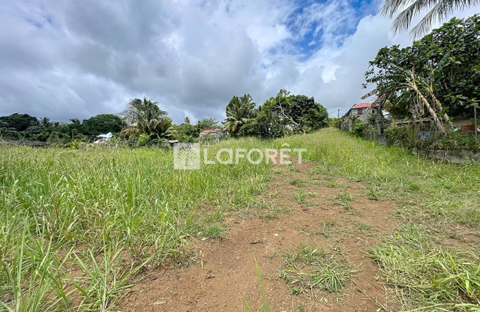 Vente Terrain 800m² Lamentin