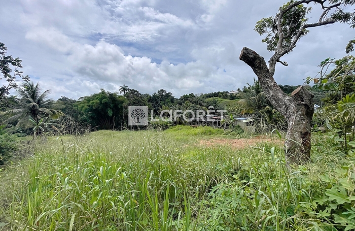 Vente Terrain 800m² Lamentin