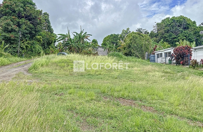 Vente Terrain 800m² Lamentin