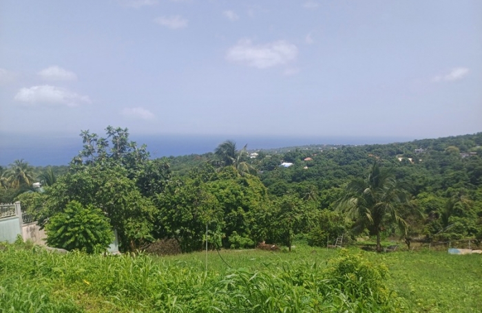 Vente Terrain 1056m&sup2; Baillif