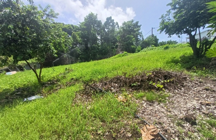 Vente Terrain 1000m&sup2; Baillif