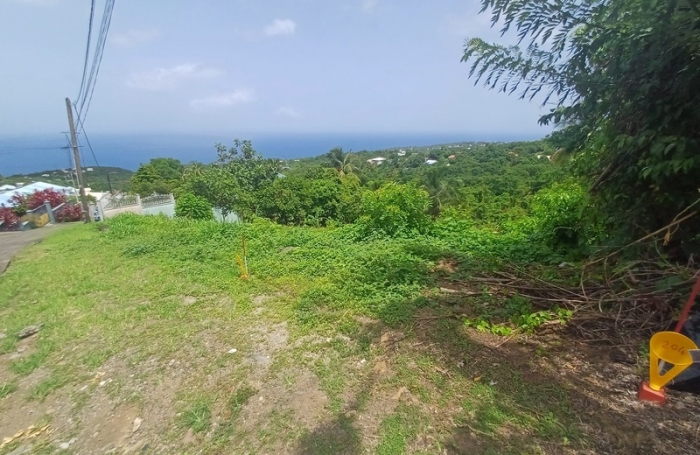 Vente Terrain 1000m&sup2; Baillif