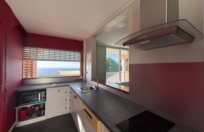 Location Appartement 97116