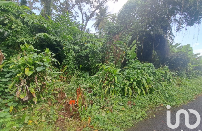 Vente Terrain 4713m&sup2; Capesterre Belle Eau